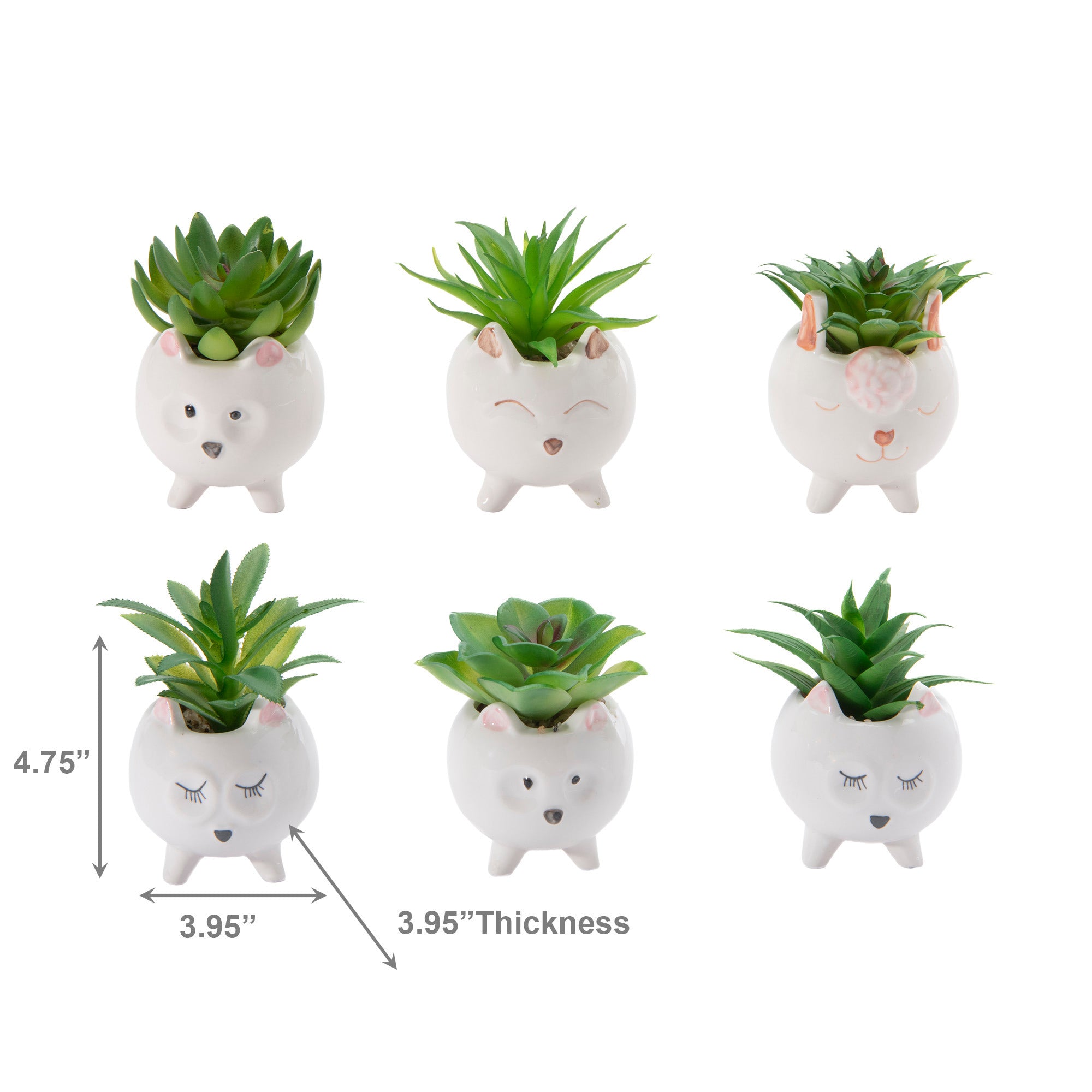 Ceramic Animal Planter with Succulent – Assorted - Set of 6