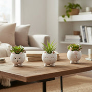 Ceramic Animal Planter with Succulent – Assorted - Set of 6