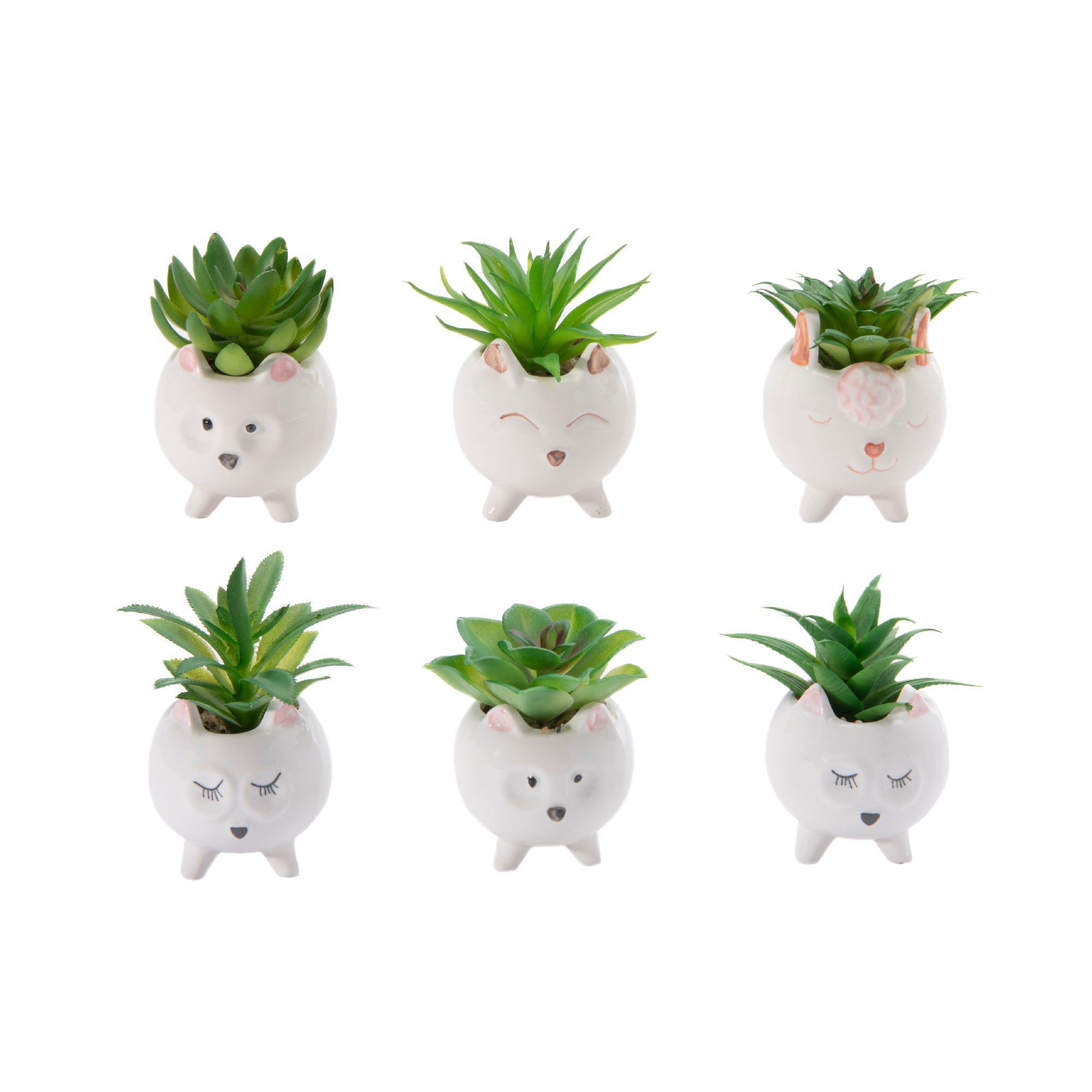 Ceramic Animal Planter with Succulent – Assorted - Set of 6