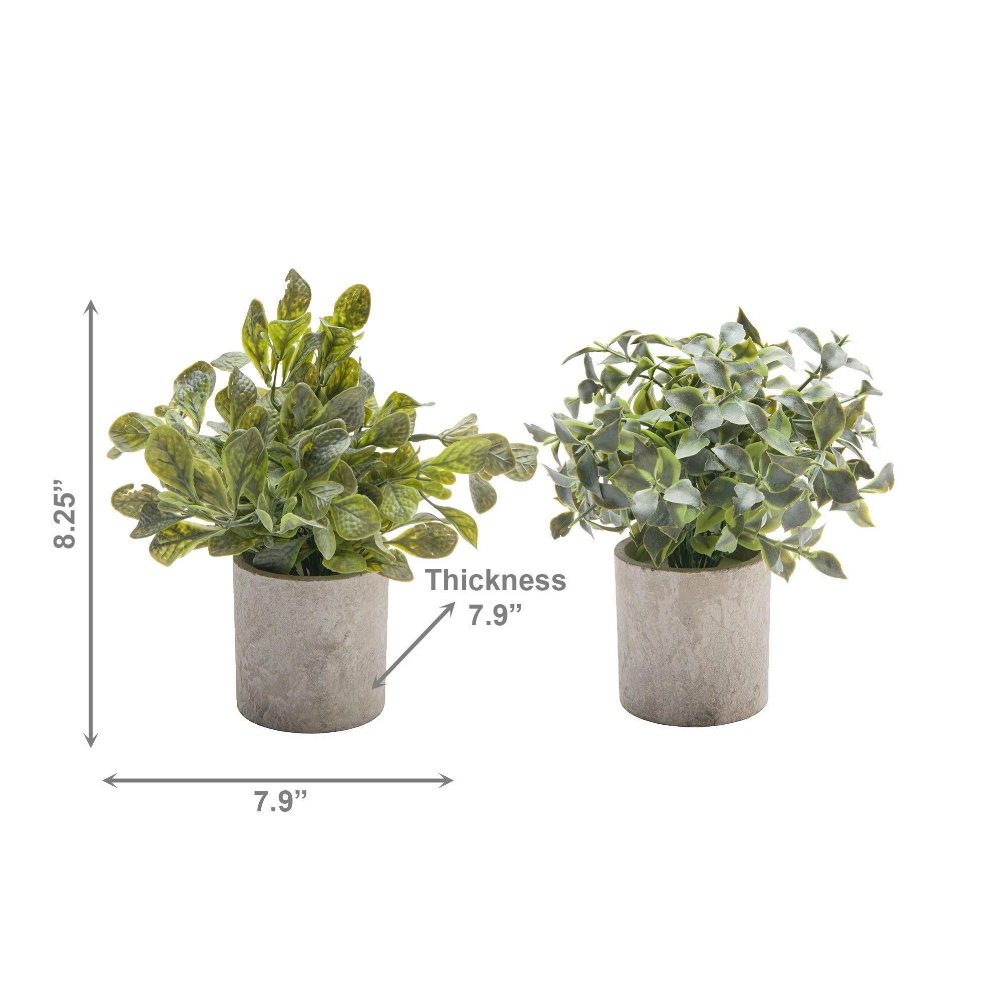 Artificial Green Plant in Cement Pot – Assorted - Set of 2