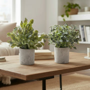 Artificial Green Plant in Cement Pot – Assorted - Set of 2