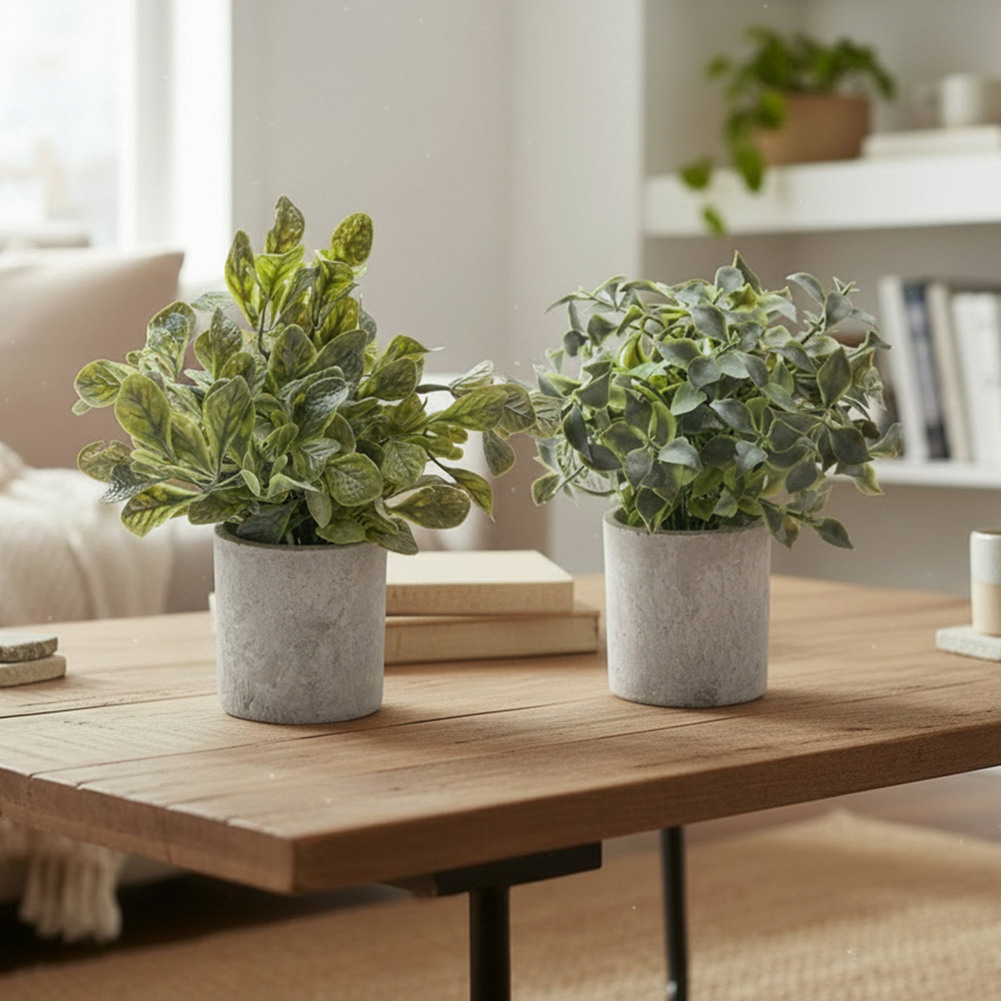 Artificial Green Plant in Cement Pot – Assorted - Set of 2