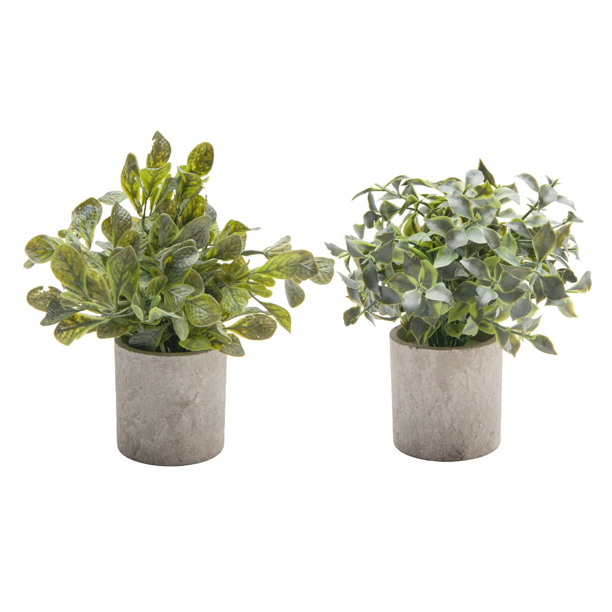 Artificial Green Plant in Cement Pot – Assorted - Set of 2
