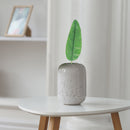 Artificial Banana Leaf - Set of 36