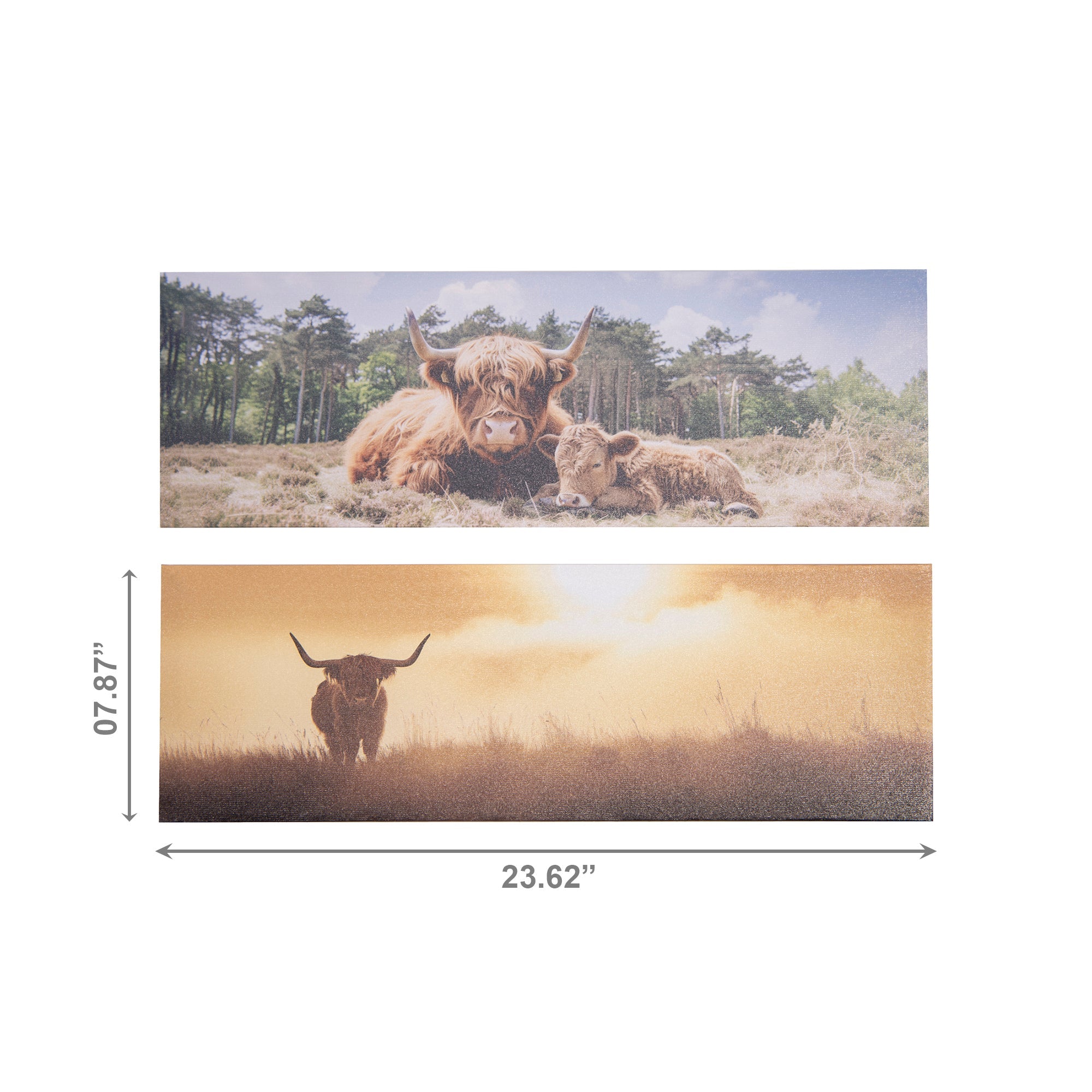 Highland Cattle Canvas Wall Art – Assorted Designs - Set of 2