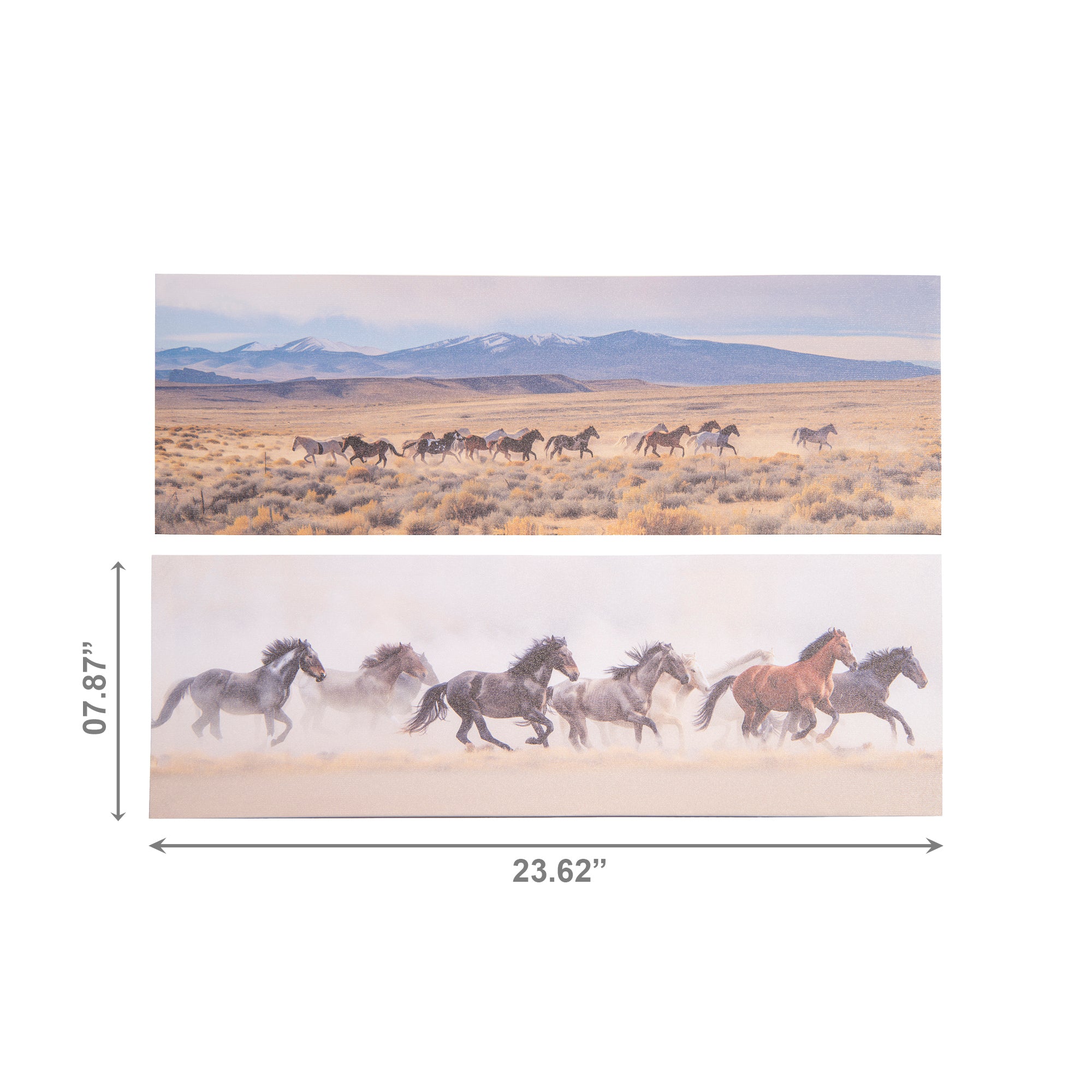 Running Horses Canvas Wall Art – Assorted Designs - Set of 2