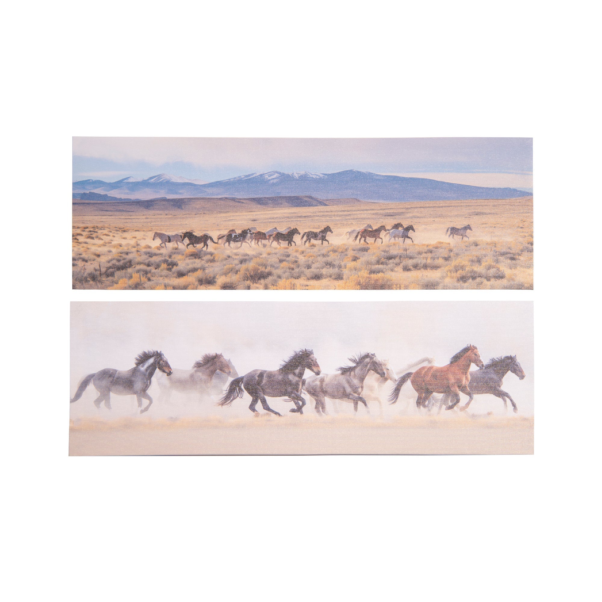 Running Horses Canvas Wall Art – Assorted Designs - Set of 2