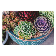 Plastic Placemat Potted Succulents Design Set of 12