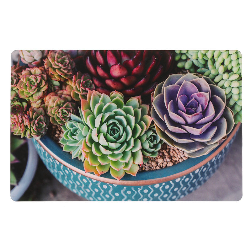 Plastic Placemat Potted Succulents Design Set of 12