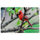 Plastic Placemat Cardinal 12 X 18 - Set of 12