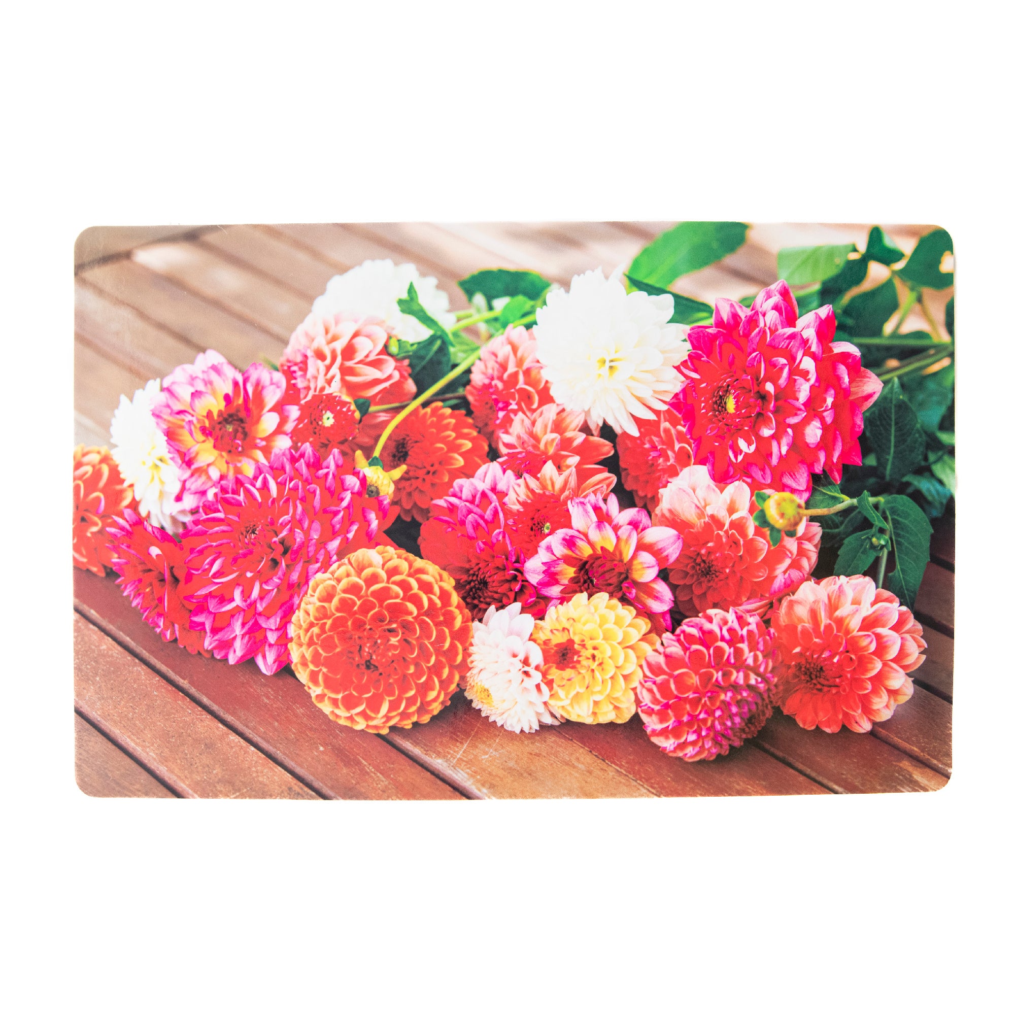 Blooming Dahlias Floral Plastic Table Placemat - Set of 12