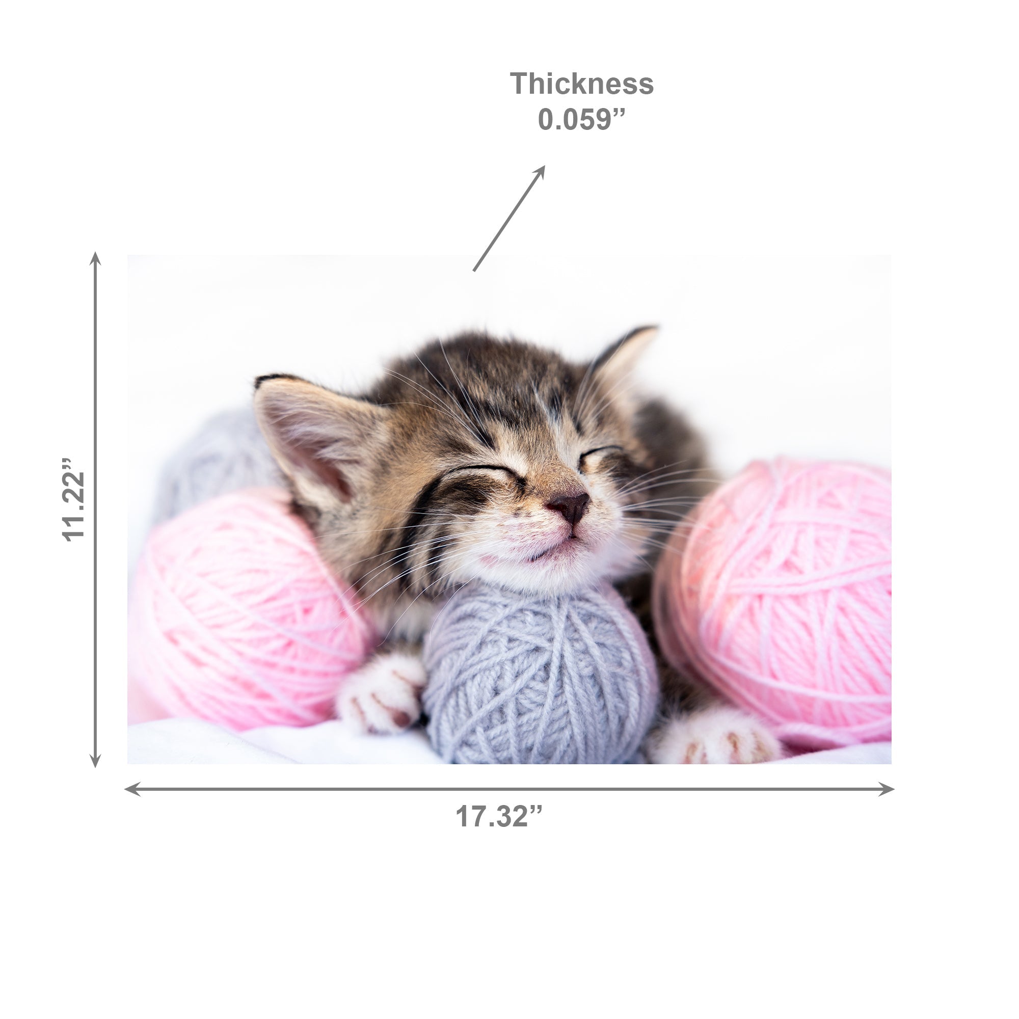 Kitten with Yarn Illustrated Plastic Placemat - Set of 12