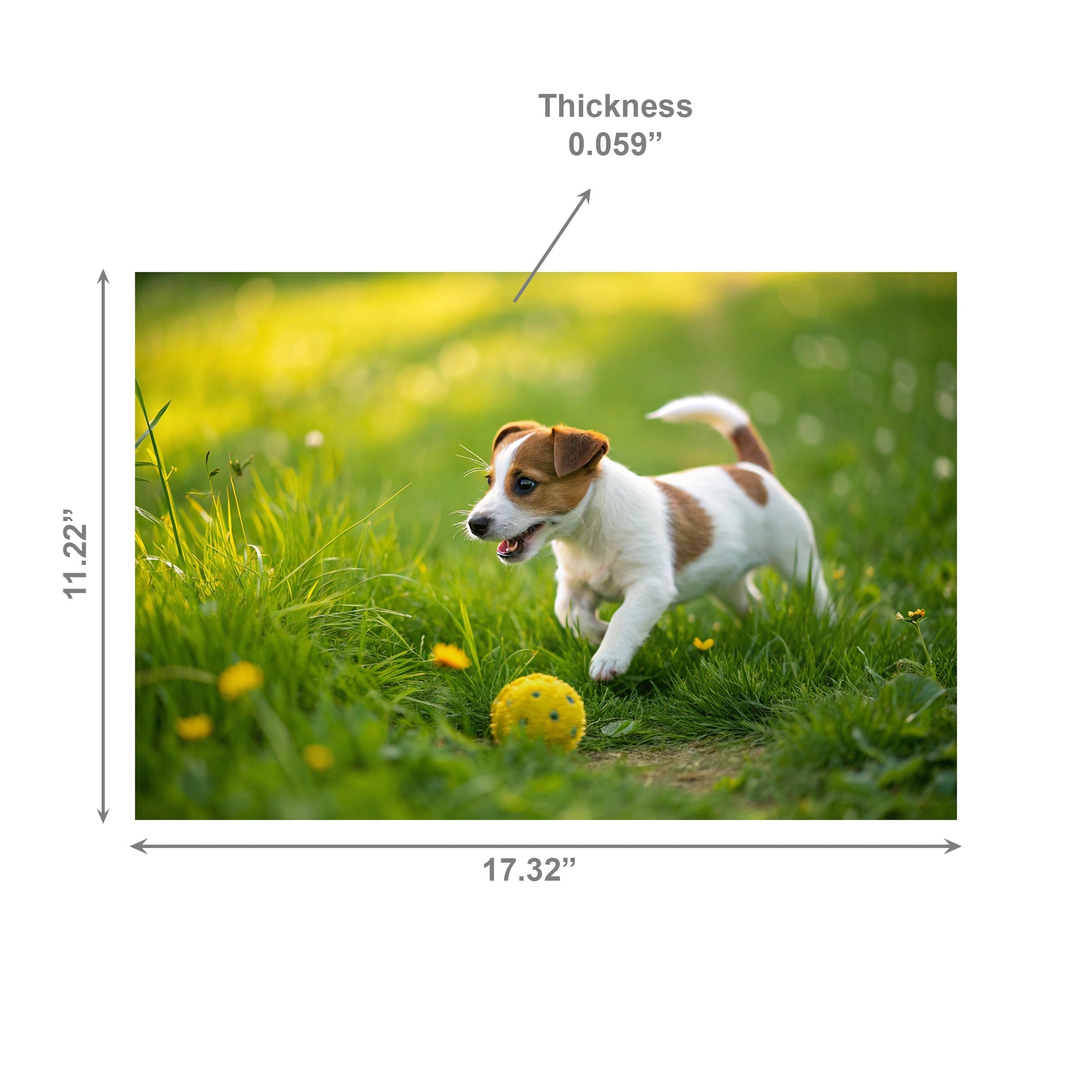 Puppy Chasing Ball Decorative Plastic Placemat - Set of 12