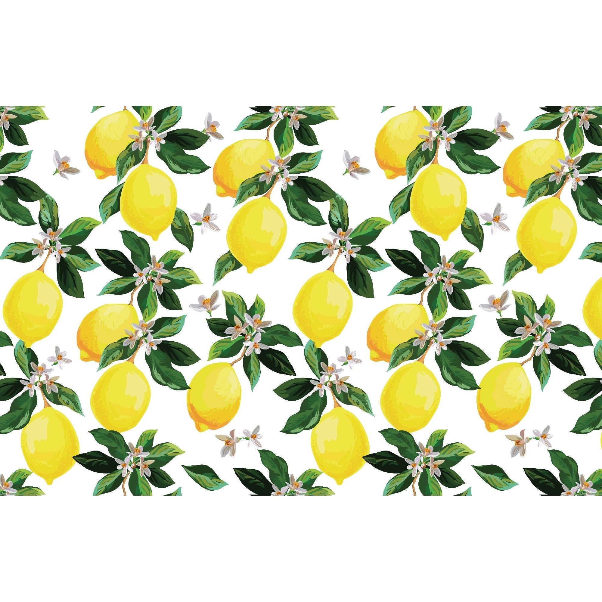 Plastic Placemat Lemon Branches Set Of 12, Dining Table Decor, Kitchen Accessory