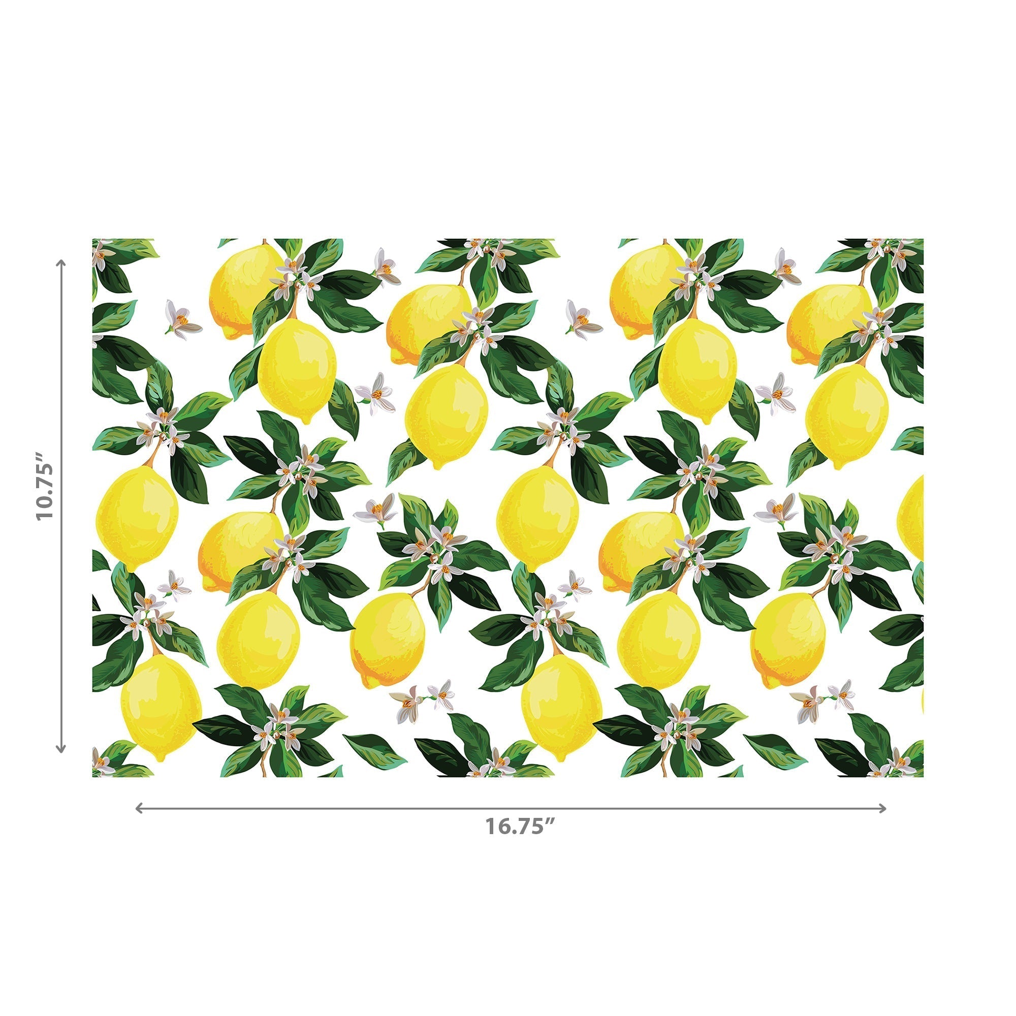 Plastic Placemat Lemon Branches Set Of 12, Dining Table Decor, Kitchen Accessory