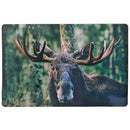 Plastic Placemat Moose 12 X 18 - Set of 12