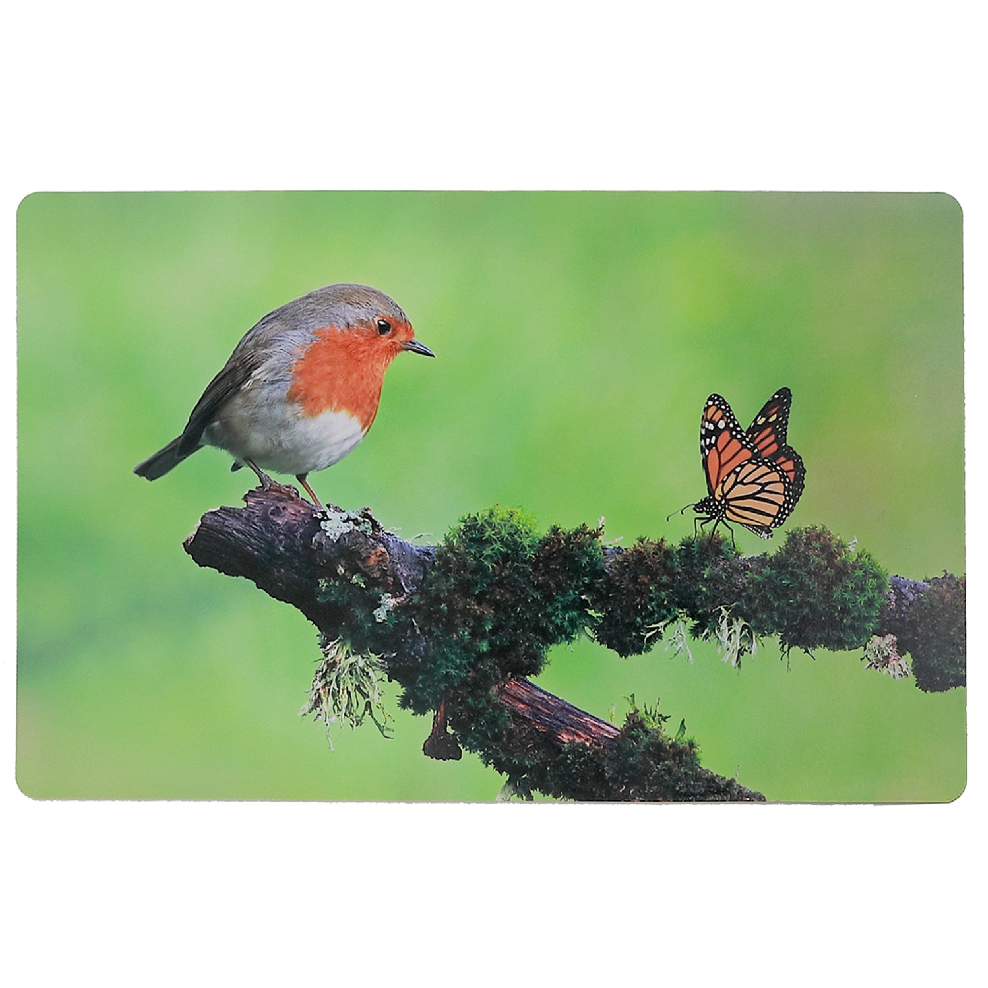 Plastic Placemat Robin And Monarch 12 X 18 Set Of 12, Dining Table Decor