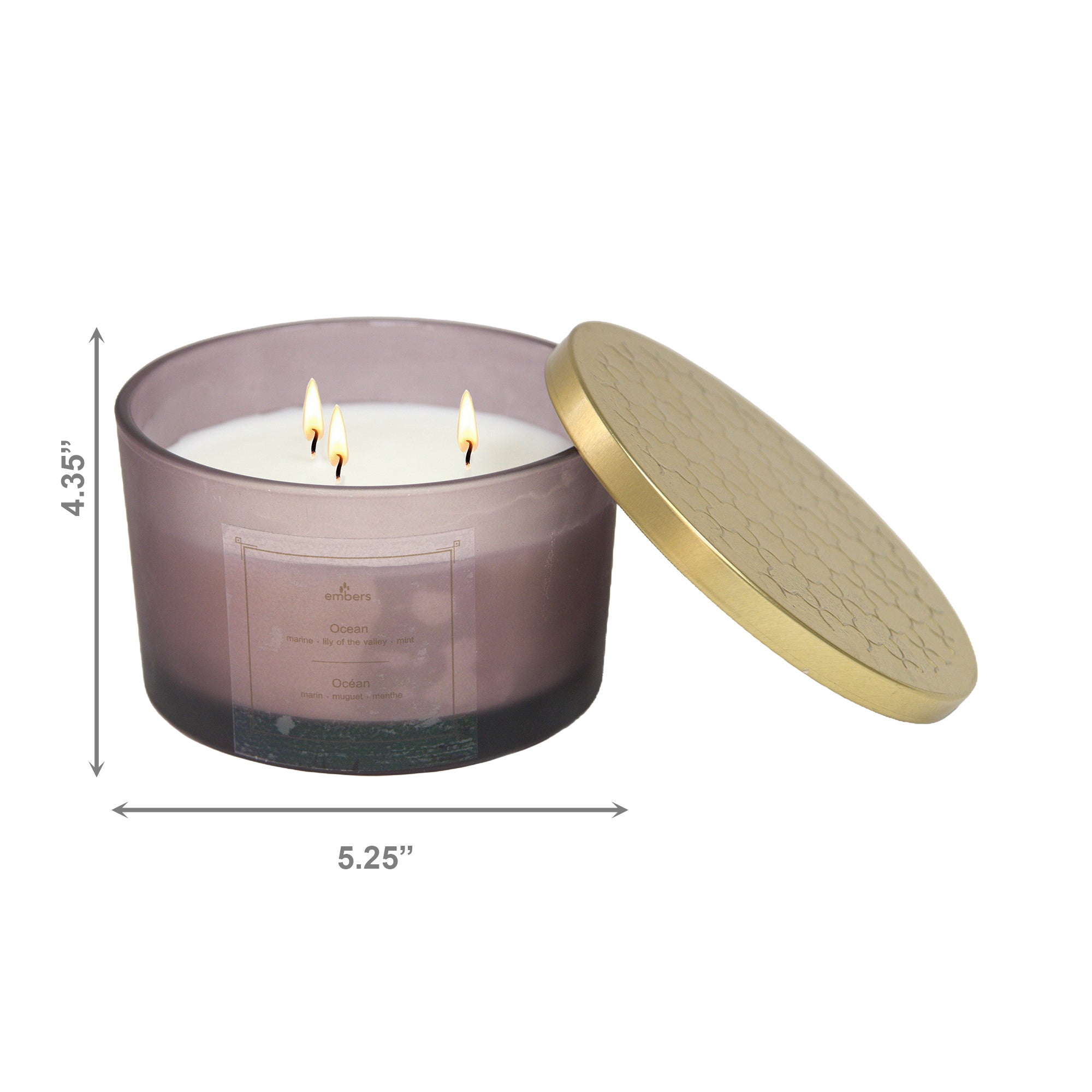 14 Ozs 3 Wick Mauve Jar Scented Candle Ocean