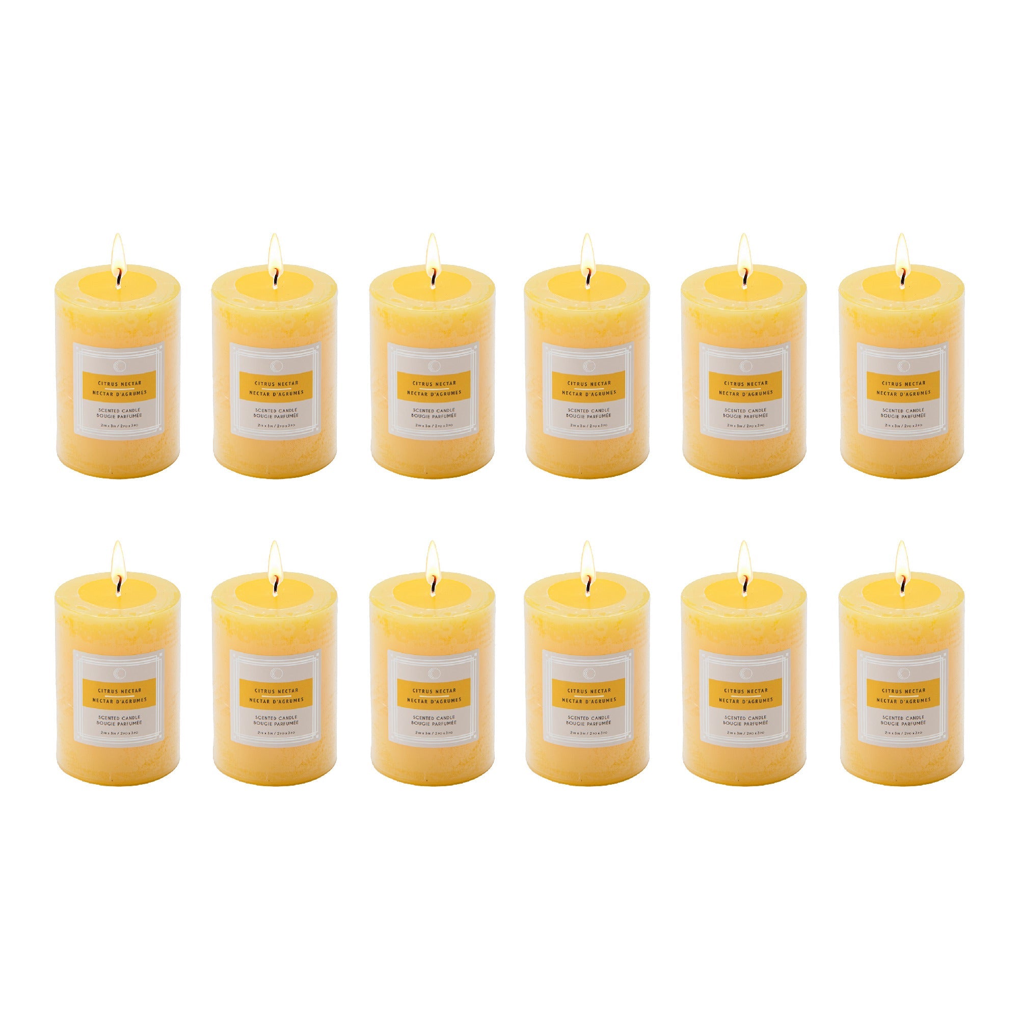 Citrus Nectar 2"x3" Scented Pillars, Set of 12, Home Fragrance, Aromatherapy
