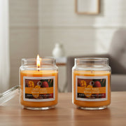 18 Ounce Scented Jar Candle with Glass Lid Featuring Sweet Mango Aroma - Set of 2