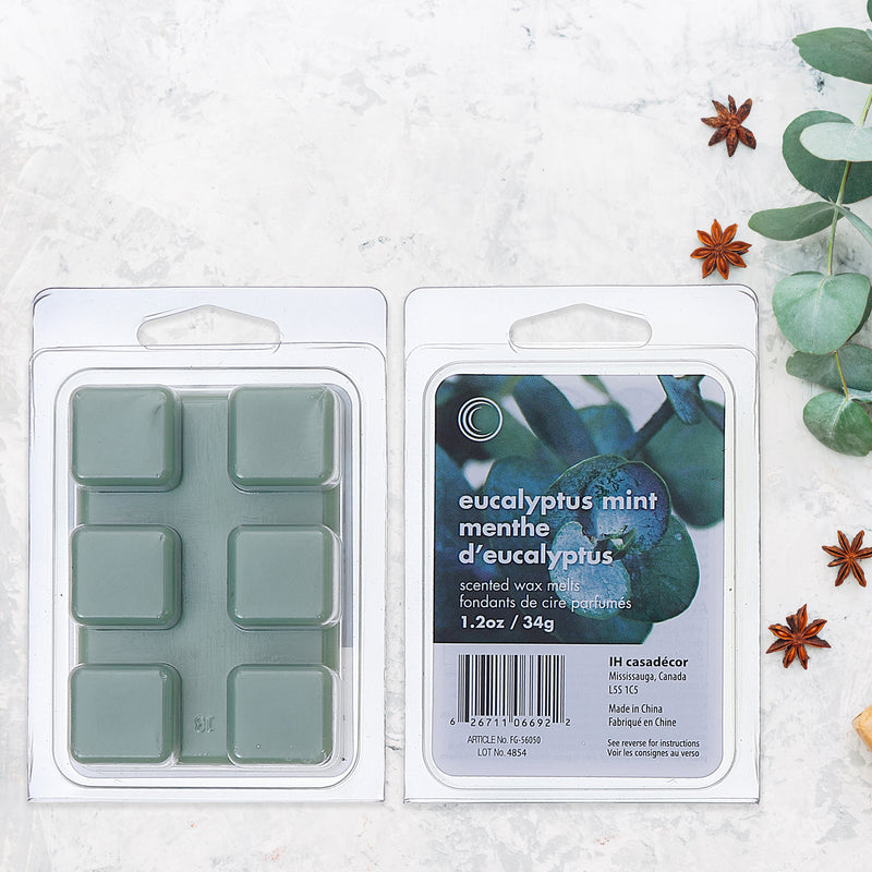 6Pk Scented Wax Melts Eucalyptus Mint - Set of 6