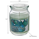 18 Oz Scented Jar With Glass Lid Eucalyptus Mint - Set of 2