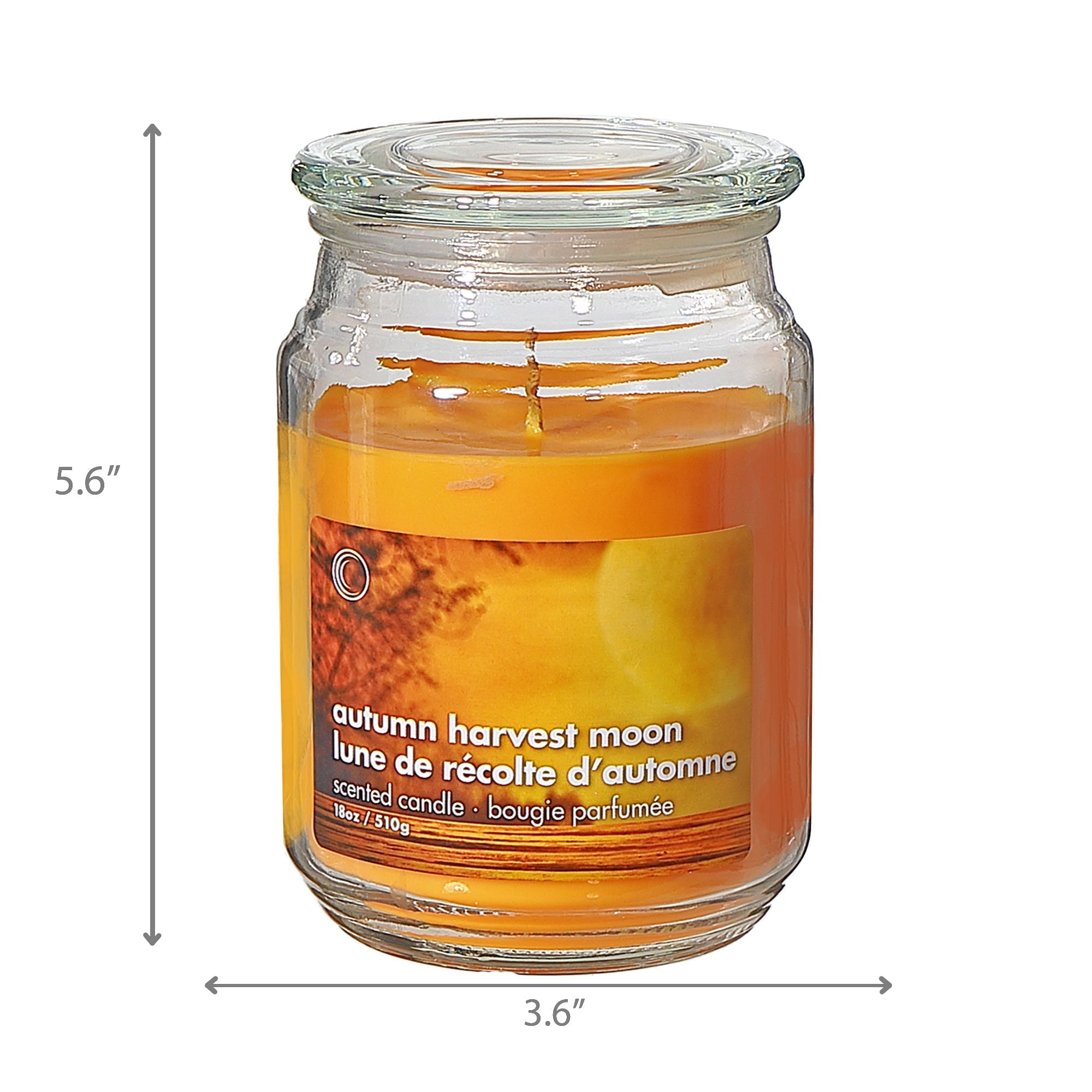 18oz Scented Glass Jar Candle with Lid – Autumn Harvest Moon Scent, Set of 2