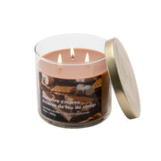 14oz 3 Wick Jar Candle with Lid Campfire S'mores, Decorative Candle, Holiday Decor- Set of 2
