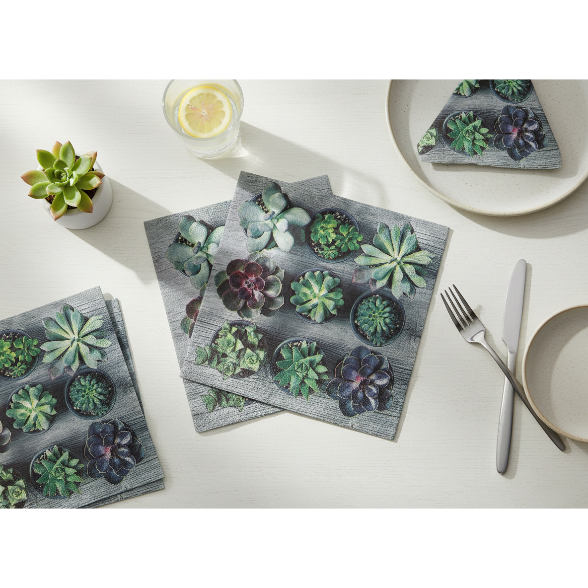 3 Ply Luncheon Napkin Potted Succulents Printed Decorative Napkin - Set of 6