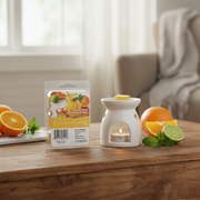 6 Pack Scented Wax Melts Zesty Citrus Home Fragrance Wax Melts