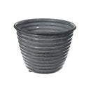 6" Classic Bloom Round Planter - Set of 2