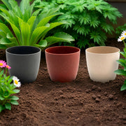 5.5" Assorted Eco-Friendly Siena Round Planter - Set of 3