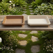 11" Assorted Eco-Friendly Siena Square Shallow Tray - Set of 4