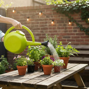 Lime Green Plastic Watering Can