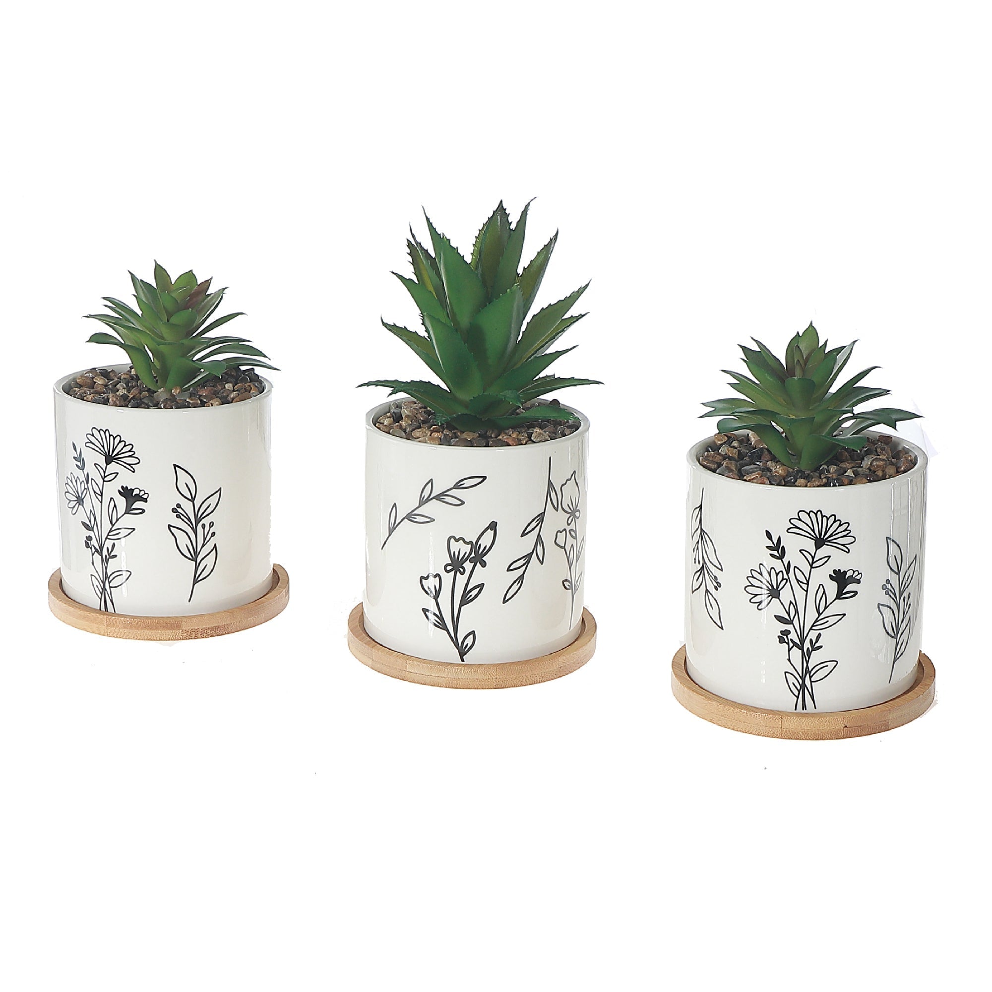 Artificial Succulent In Ceramic Pot Assorted Set Of 2, Artificial Succulent Plant Set Of 2, Ceramic Pot Decor