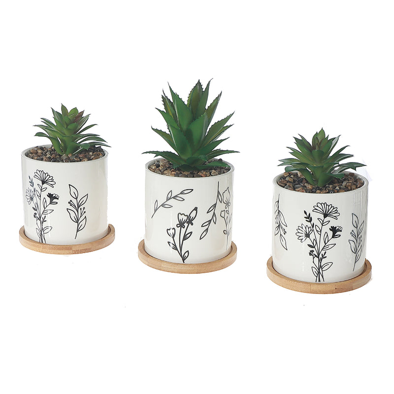 Artificial Succulent In Ceramic Pot Assorted - Set of 2