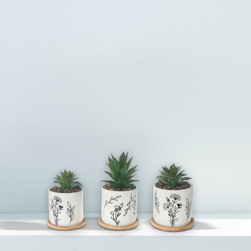 Artificial Succulent In Ceramic Pot Assorted - Set of 2