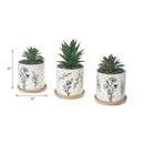 Artificial Succulent In Ceramic Pot Assorted - Set of 2