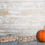 Rectangular Block Sign Set of 2 Harvest/Welcome – Fall/Autumn Wall/Tabletop Decor, Rustic Seasonal Accent