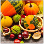 20 Pack Luncheon 3-Ply Napkin Pumpkins and Chestnuts Set of 6 – Fall/Thanksgiving Table Decor, Seasonal Dining Accent, Autumn Napkins