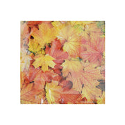 20 Pack Luncheon 3-Ply Napkin Autumn Leaves Set of 6 – Fall/Thanksgiving Table Decor, Seasonal Dining Accent, Autumn Napkins