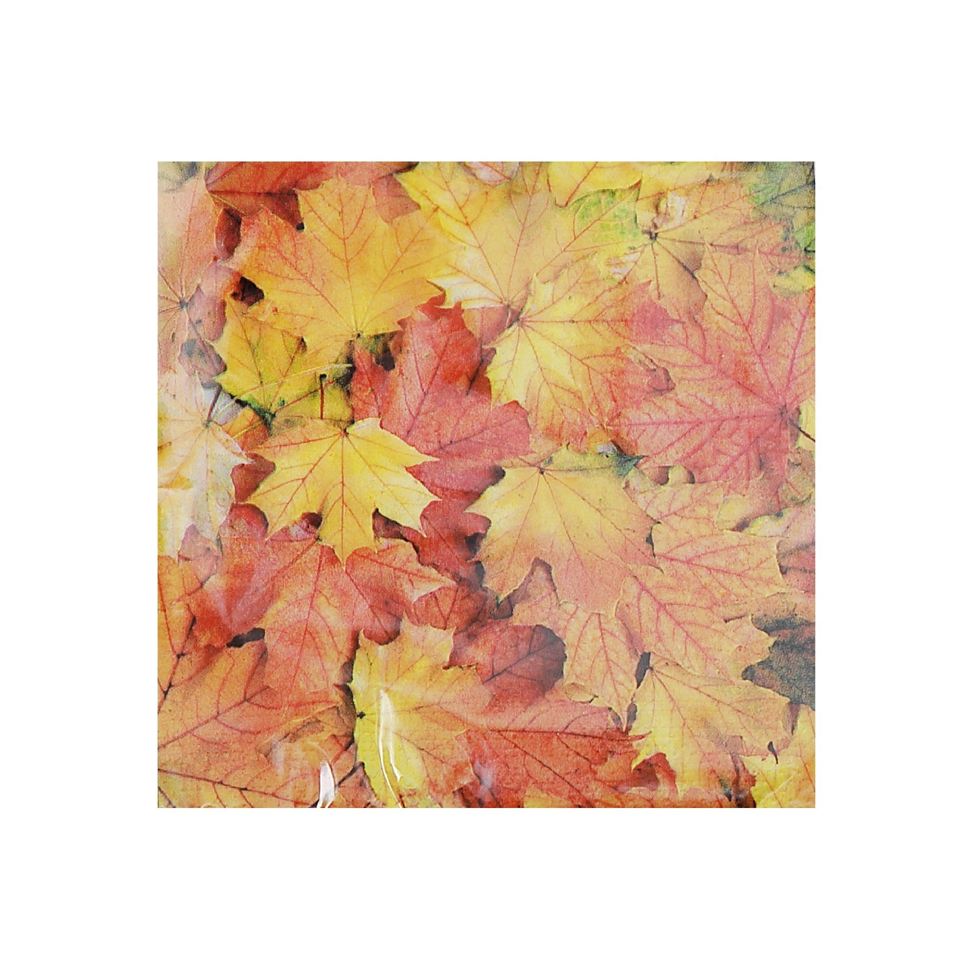 20 Pack Luncheon 3-Ply Napkin Autumn Leaves Set of 6 – Fall/Thanksgiving Table Decor, Seasonal Dining Accent, Autumn Napkins