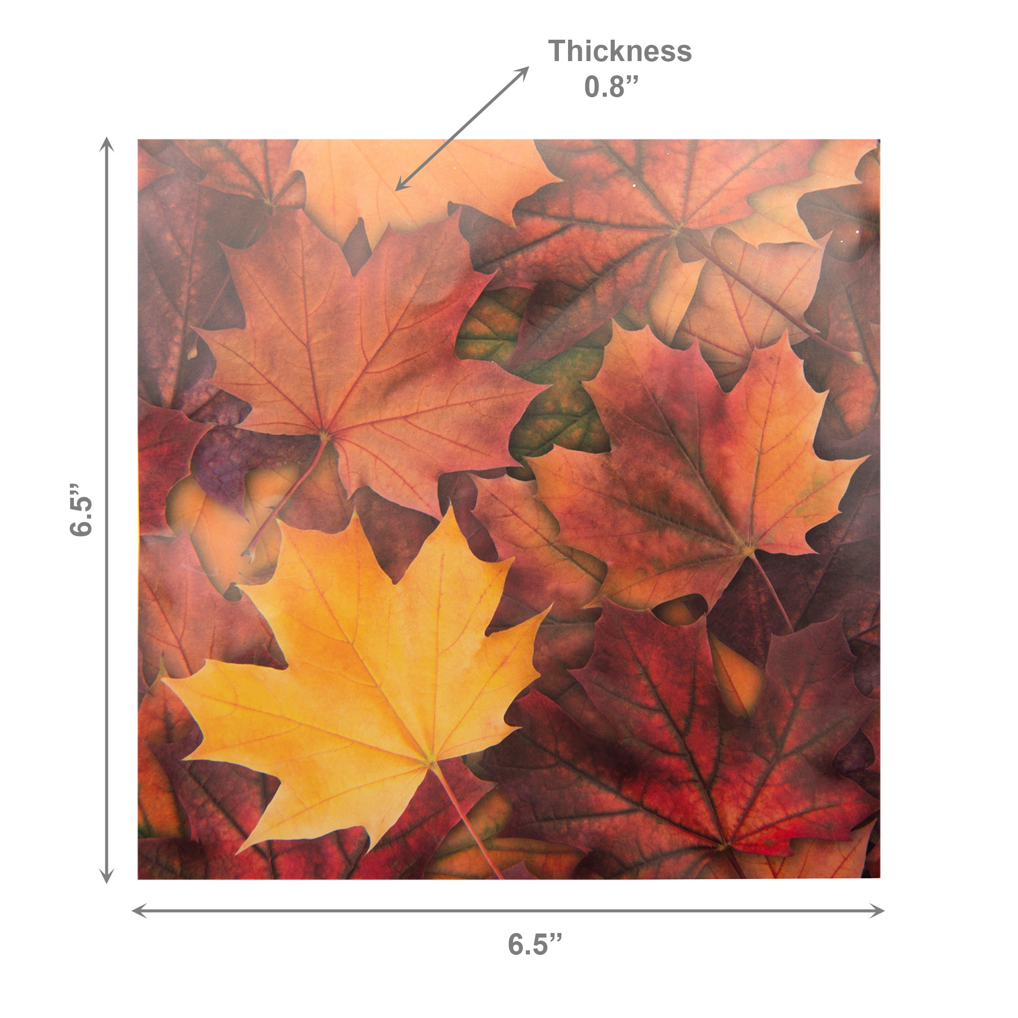 20 Pack Luncheon 3 Ply Napkin Maple Leaves, Fall Harvest, Paper Napkins, Holiday Decor- Set of 6