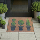 Coir Door Mat Topiaries In Pots