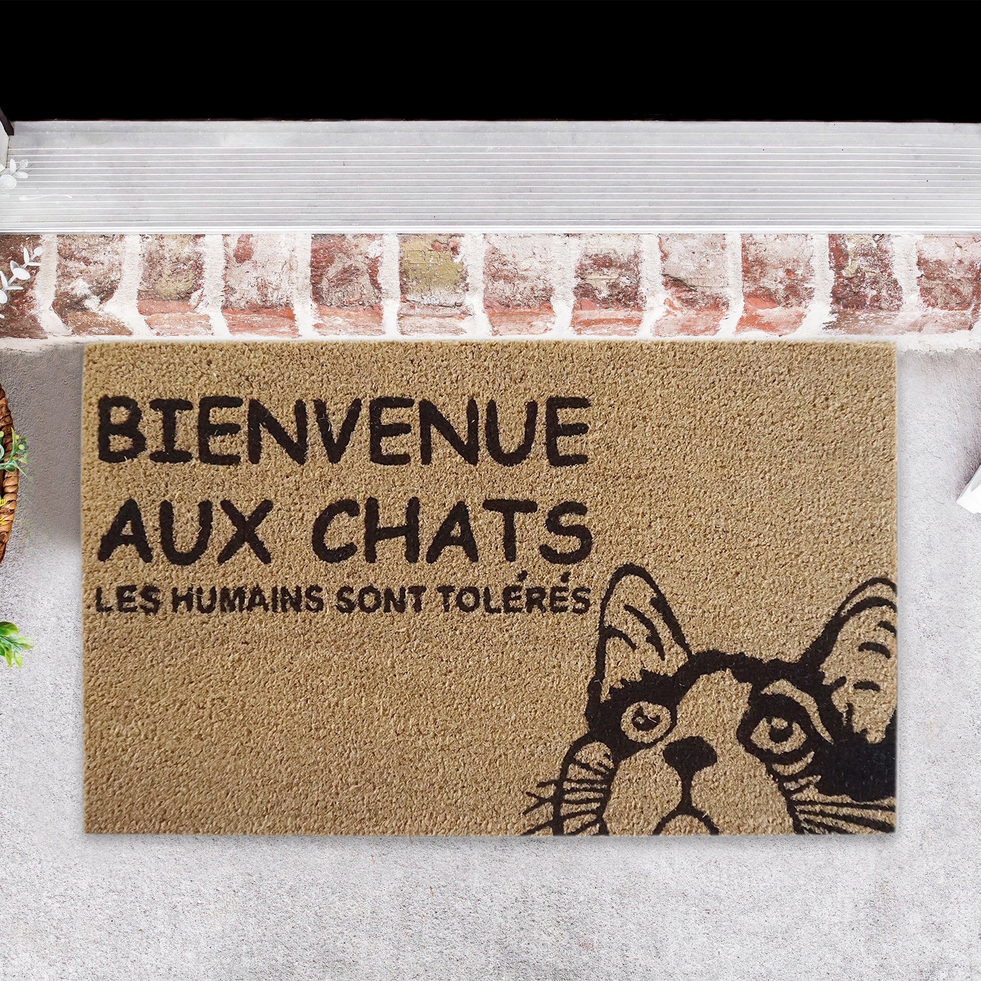 Coir Door Mat Bienvenue Aux Chats, Cat Themed French Welcome Mat, Coir Entryway Rug, Natural Fiber Front Door Decor, Pet Lover Gift