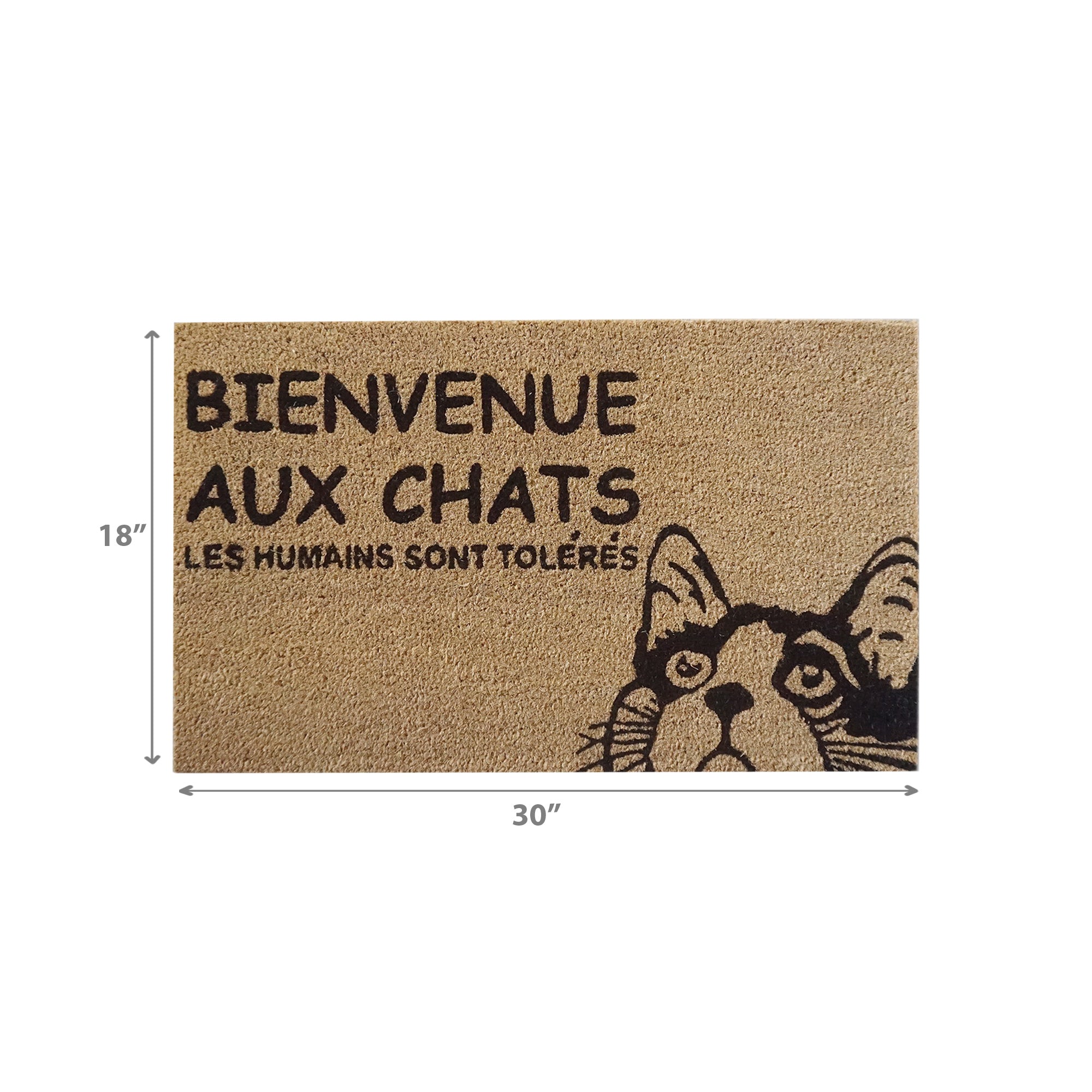 Coir Door Mat Bienvenue Aux Chats, Cat Themed French Welcome Mat, Coir Entryway Rug, Natural Fiber Front Door Decor, Pet Lover Gift