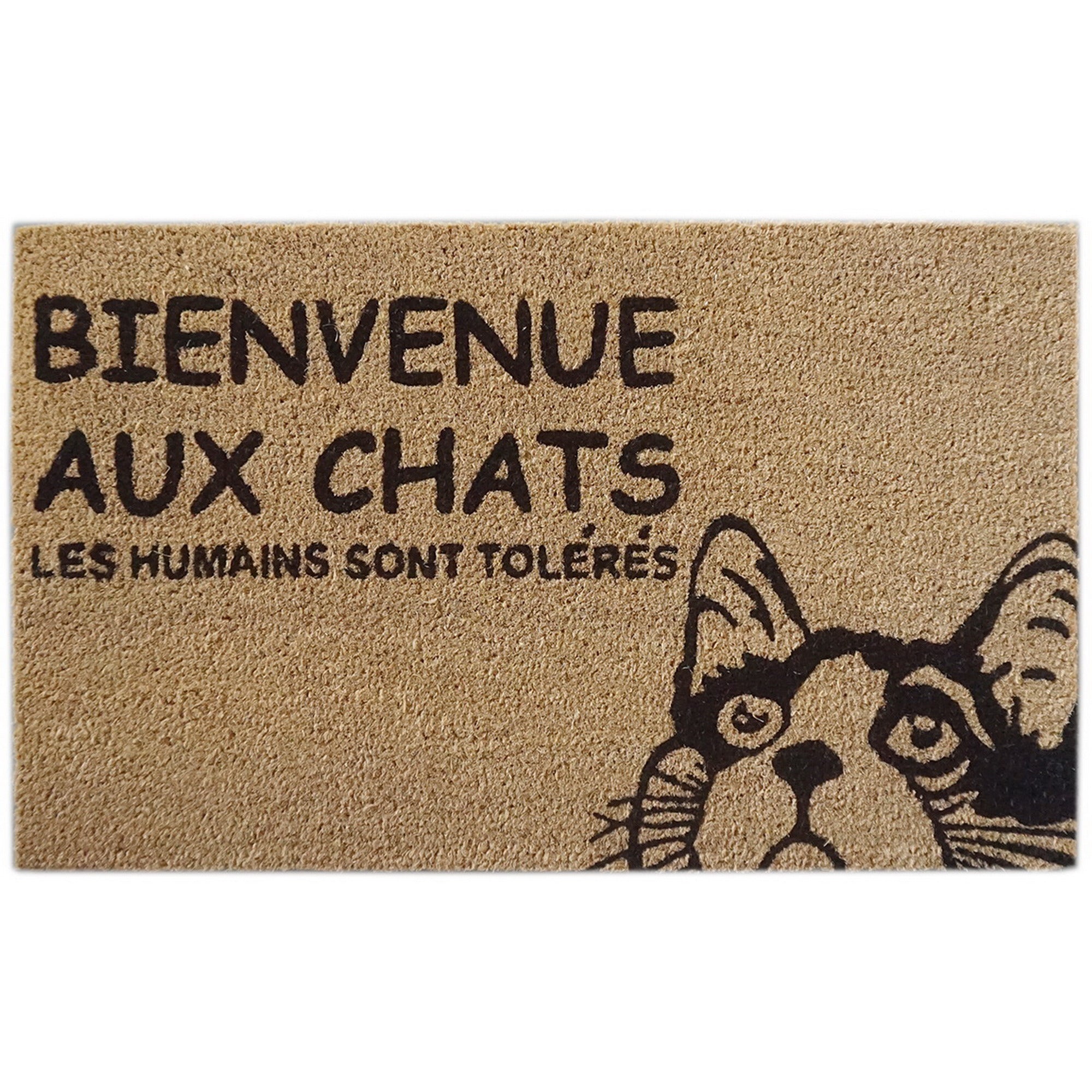 Coir Door Mat Bienvenue Aux Chats, Cat Themed French Welcome Mat, Coir Entryway Rug, Natural Fiber Front Door Decor, Pet Lover Gift