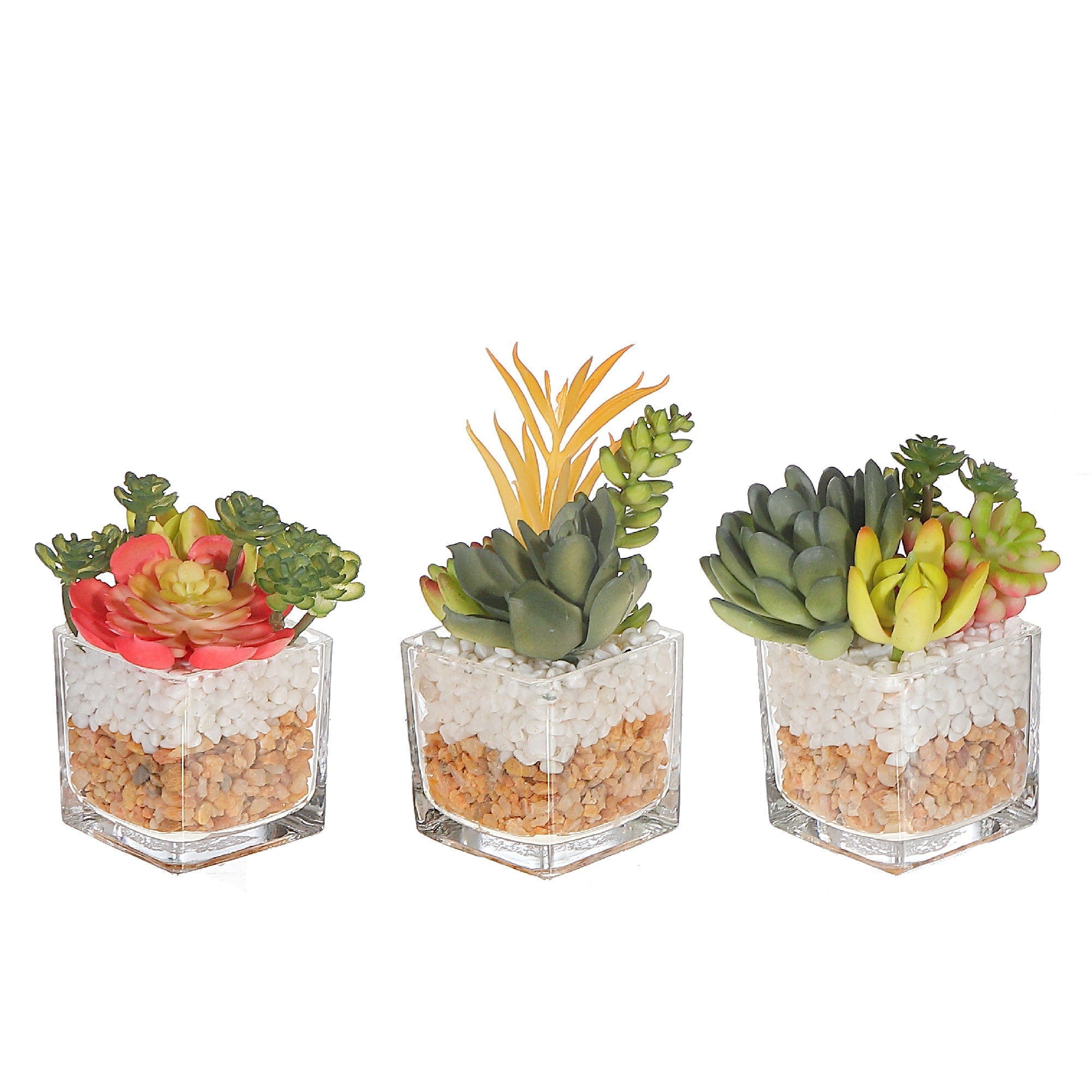 Artificial Succulents In Square Glass Planter Assorted Decorative Indoor Plant
