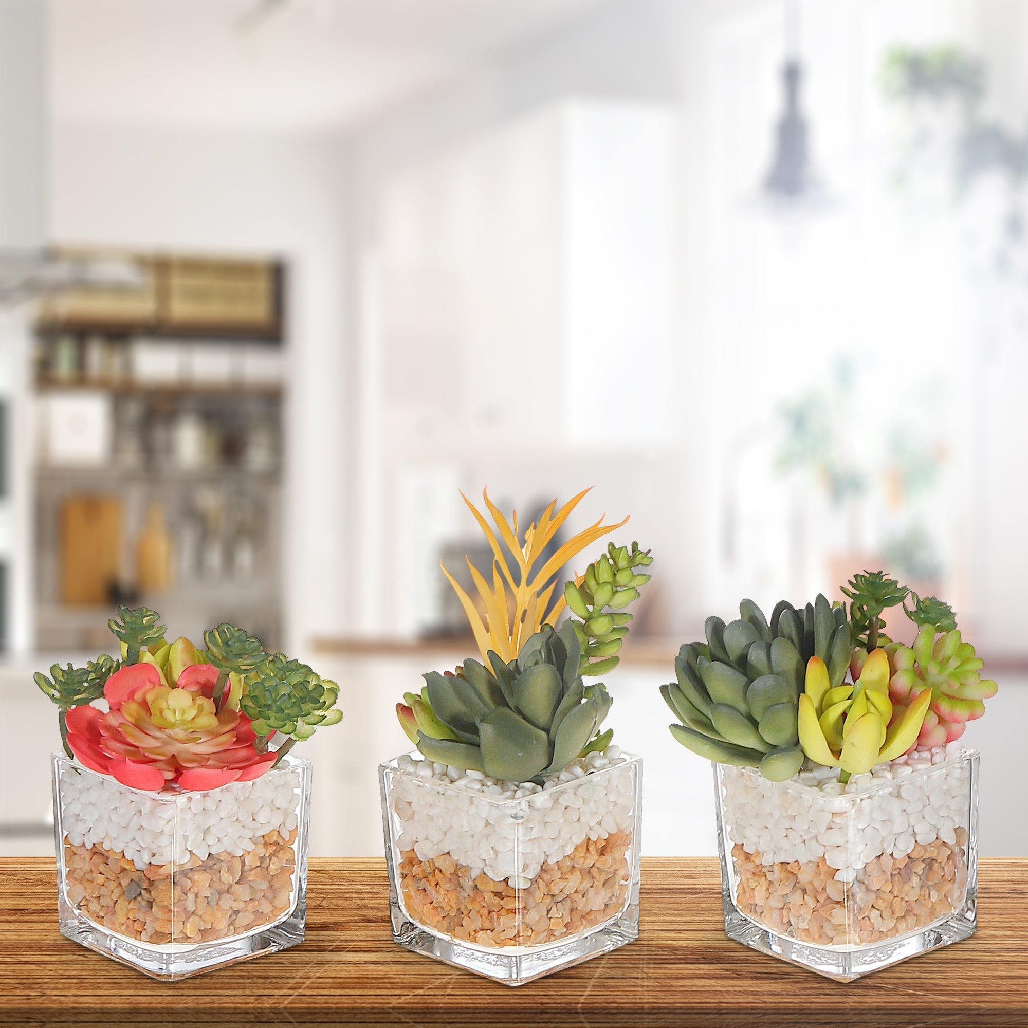 Artificial Succulents In Square Glass Planter Assorted Decorative Indoor Plant