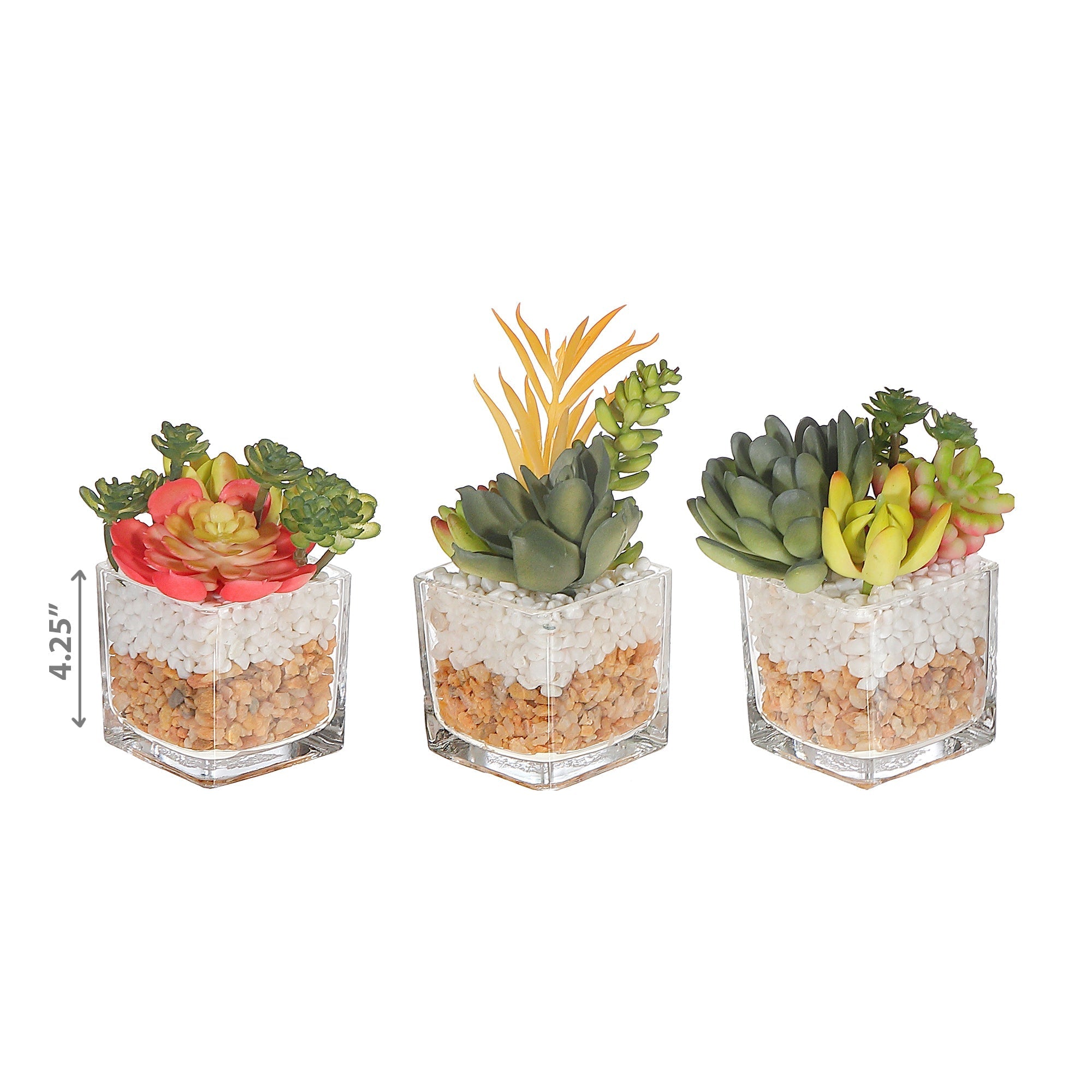 Artificial Succulents In Square Glass Planter Assorted Decorative Indoor Plant